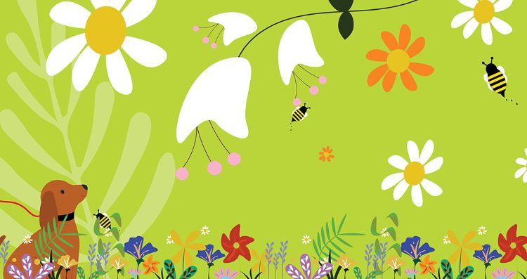 WHY IS THERE A PANDA-INSPIRED BEAR IN A DARTFORD GARDEN?